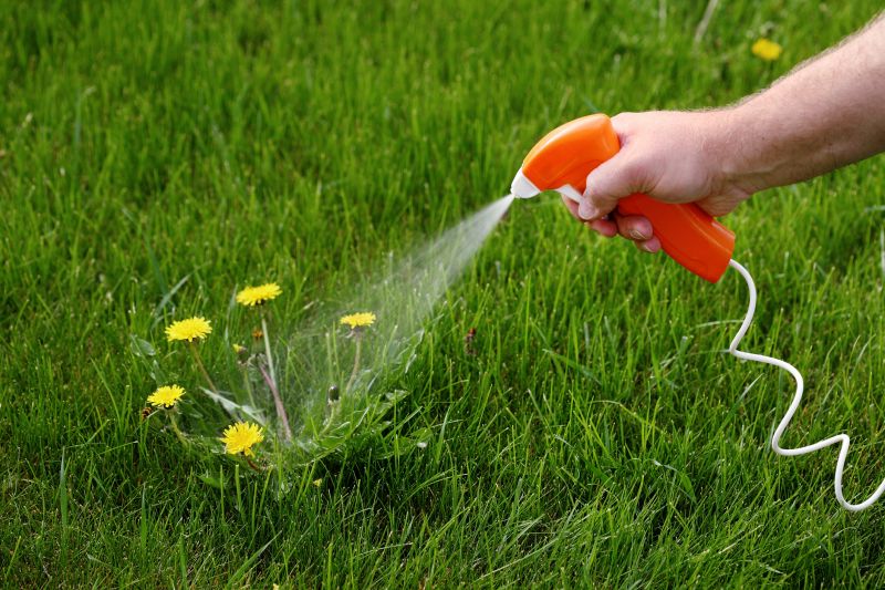 Crabgrass Removal in Rockwall, TX