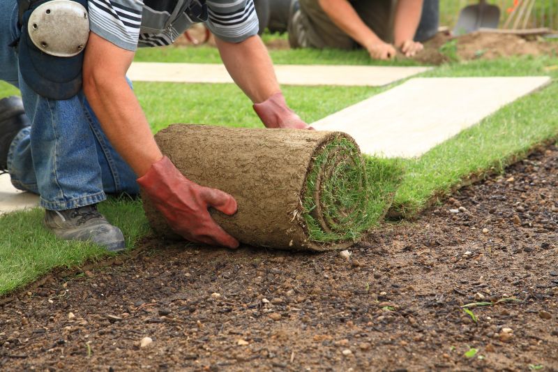 Ryegrass Sod Installation in Aiken, SC