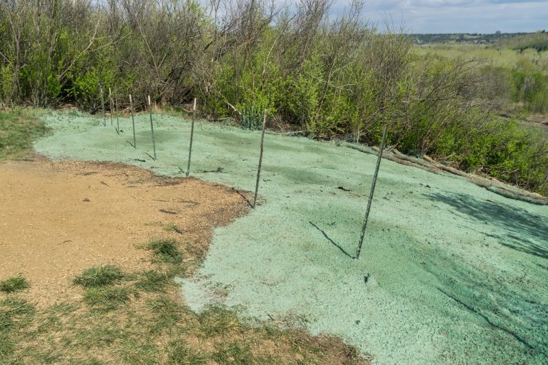 Hydroseeding Cost Insights — Cost of Hydroseeding