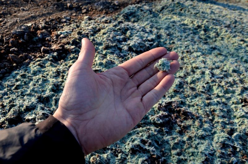 Hydroseeding Cost Insights — Cost of Hydroseeding